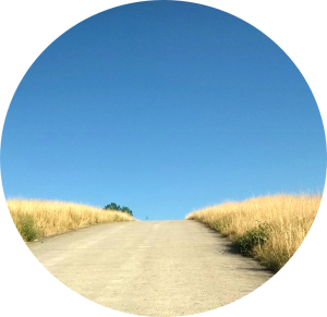 weg col